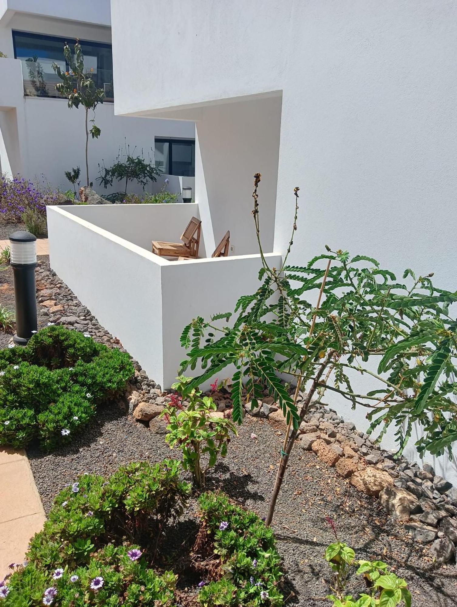 Aulaga Apartman Villaverde  Kültér fotó